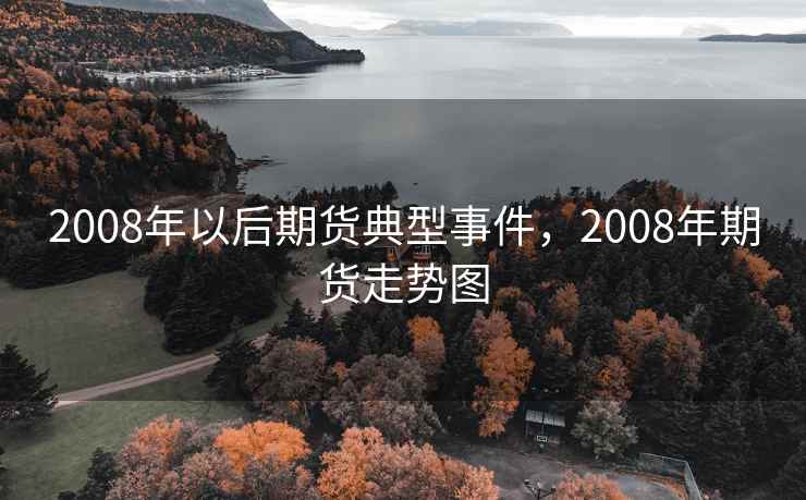 2008年以后期货典型事件,2008年期货走势图 第2张 2008年以后期货典型事件,2008年期货走势图 第2张