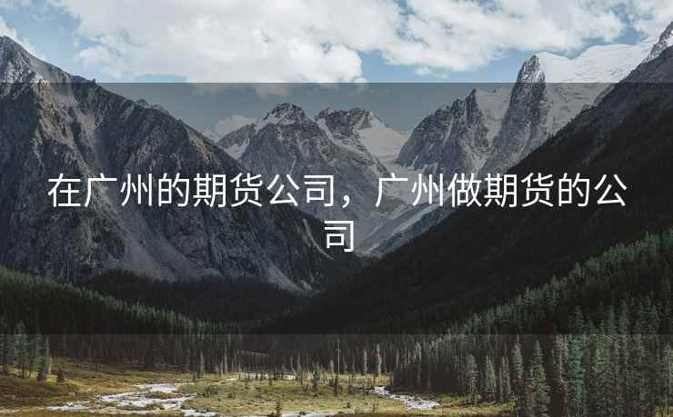 在广州的期货公司，广州做期货的公司