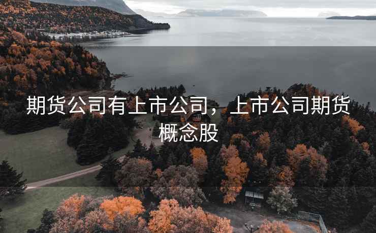 期货公司有上市公司,上市公司期货概念股 第1张 期货公司有上市公司,上市公司期货概念股 第1张