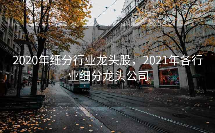 2020年细分行业龙头股，2021年各行业细分龙头公司