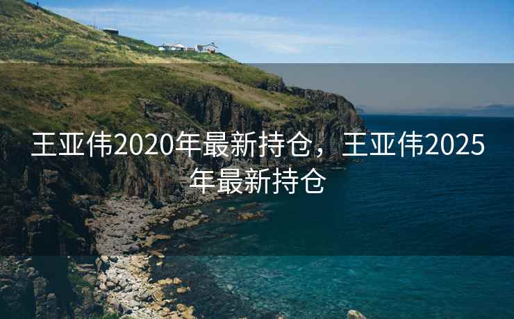 王亚伟2020年最新持仓，王亚伟2025年最新持仓  第2张