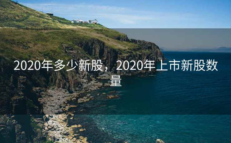 2020年多少新股，2020年上市新股数量