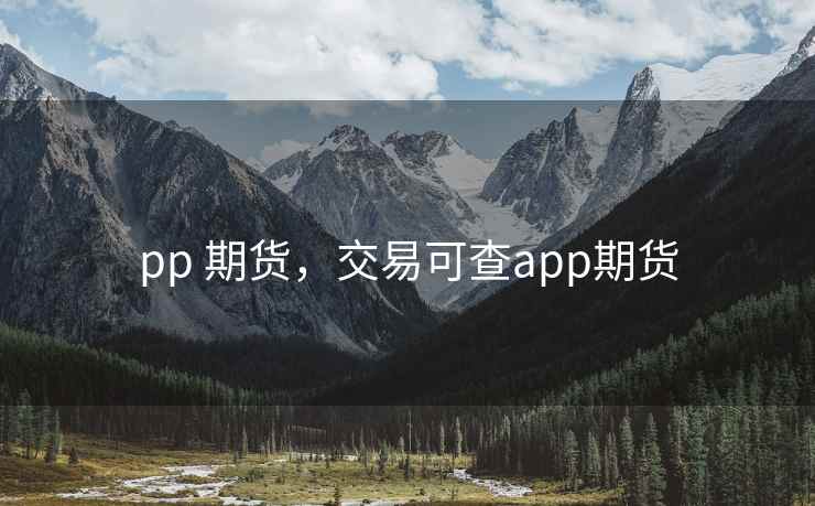 pp 期货,交易可查app期货