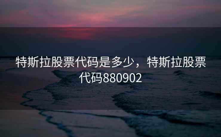 特斯拉股票代码是多少，特斯拉股票代码880902  第2张