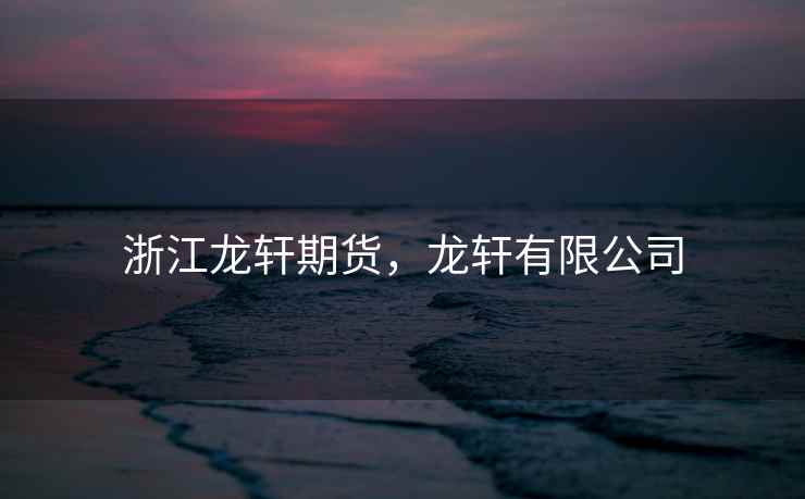 浙江龙轩期货，龙轩有限公司
