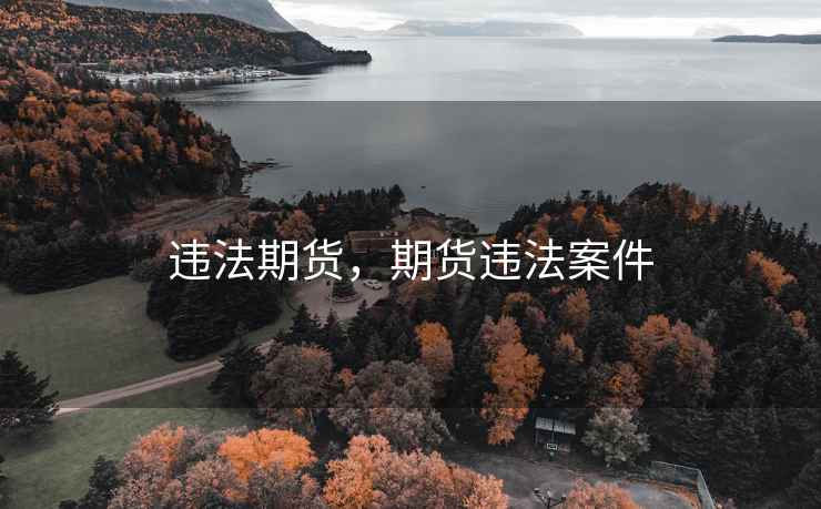 违法期货,期货违法案件