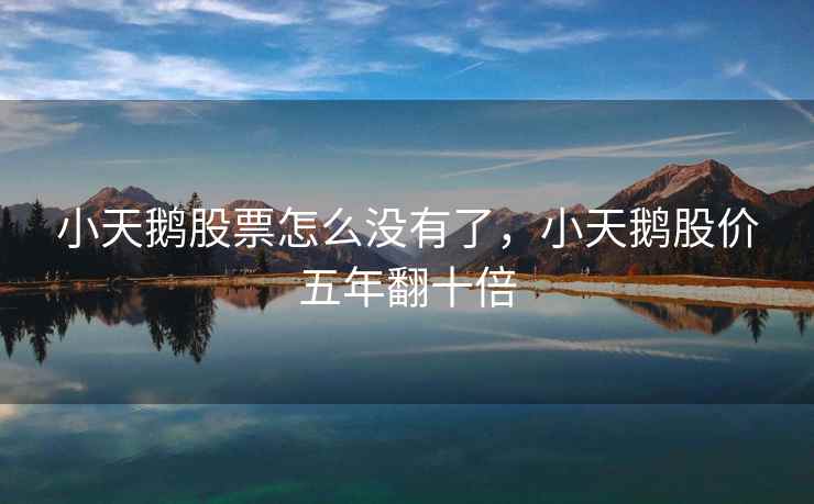 小天鹅股票怎么没有了，小天鹅股价五年翻十倍