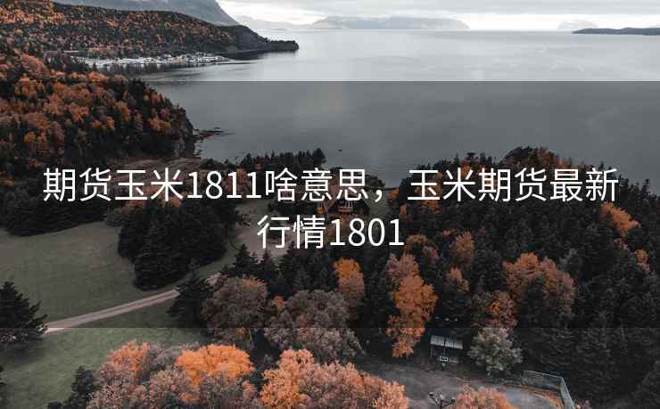 期货玉米1811啥意思,玉米期货最新行情1801