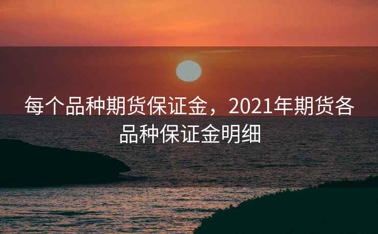 每个品种期货保证金，2021年期货各品种保证金明细