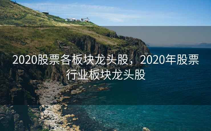 2020股票各板块龙头股，2020年股票行业板块龙头股