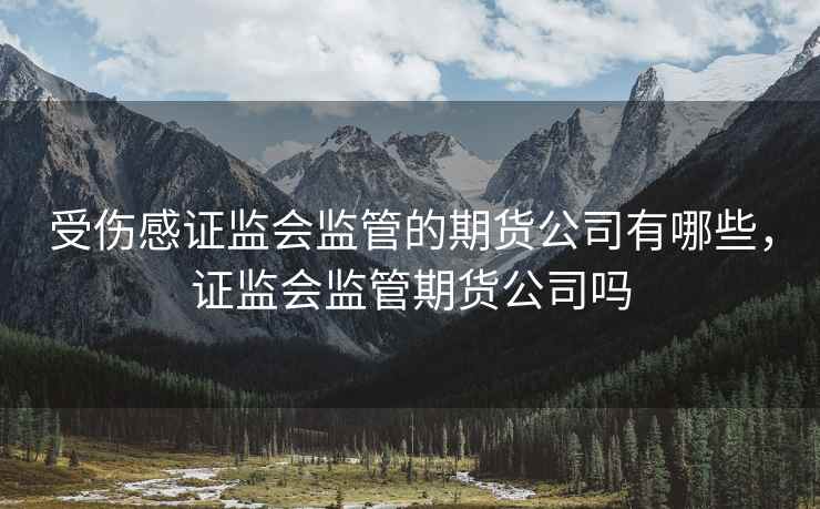 受伤感证监会监管的期货公司有哪些，证监会监管期货公司吗