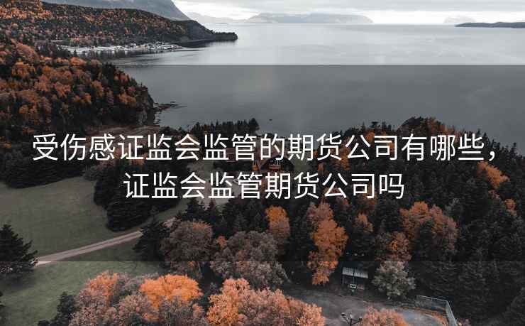 受伤感证监会监管的期货公司有哪些，证监会监管期货公司吗