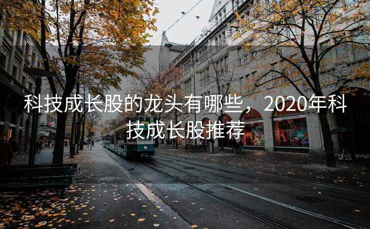 科技成长股的龙头有哪些,2020年科技成长股推荐
