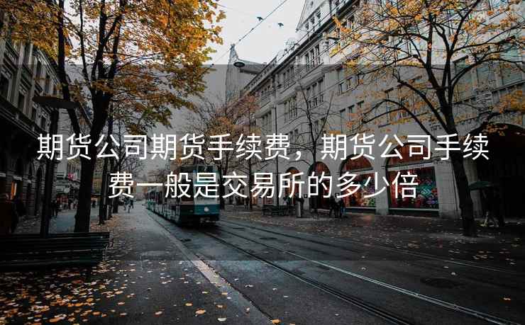 期货公司期货手续费,期货公司手续费一般是交易所的多少倍