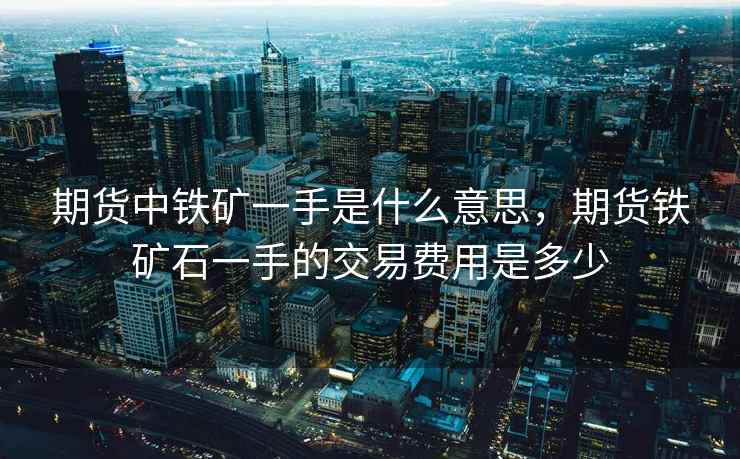 期货中铁矿一手是什么意思,期货铁矿石一手的交易费用是多少
