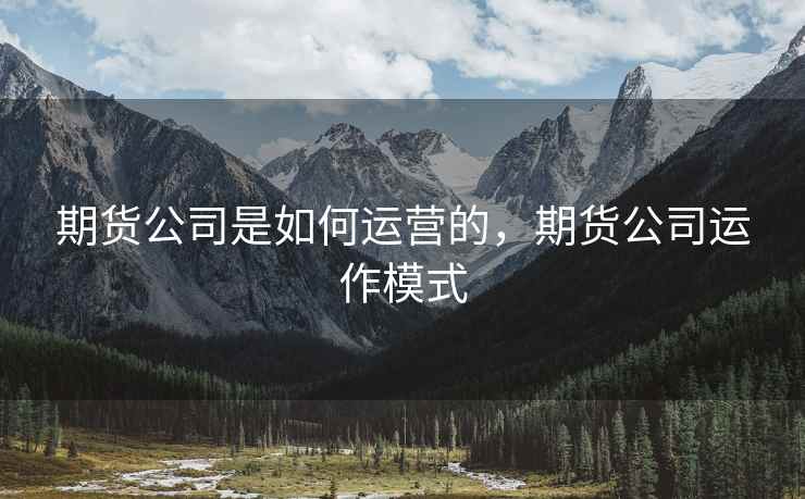 期货公司是如何运营的，期货公司运作模式
