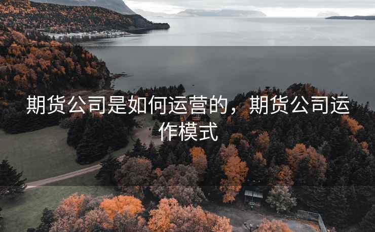 期货公司是如何运营的，期货公司运作模式