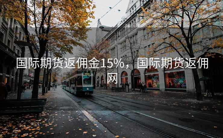 国际期货返佣金15%,国际期货返佣网